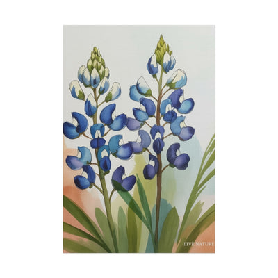 Texas Bluebonnet Watercolor Art Print Matte Finish