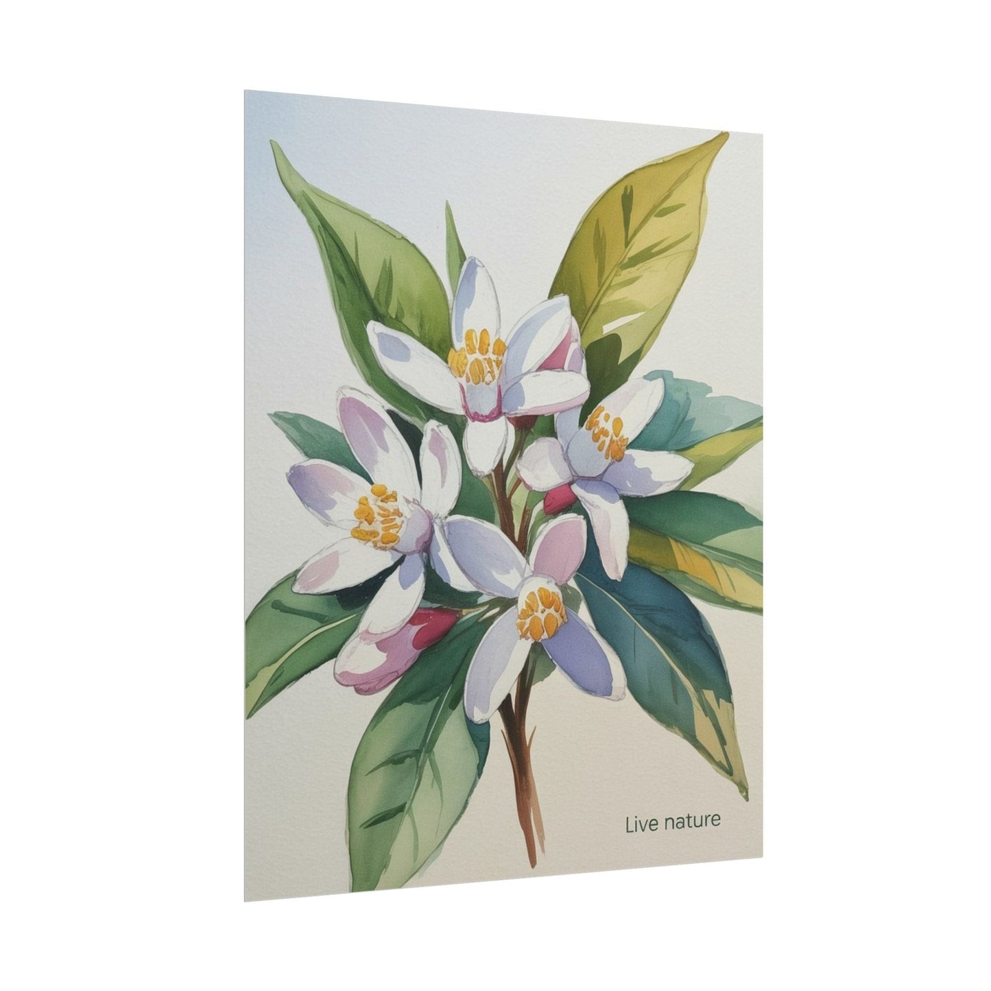 Orange Blossom Floral Watercolor Print 'Live Nature