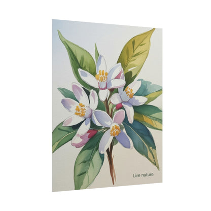 Orange Blossom Floral Watercolor Print 'Live Nature