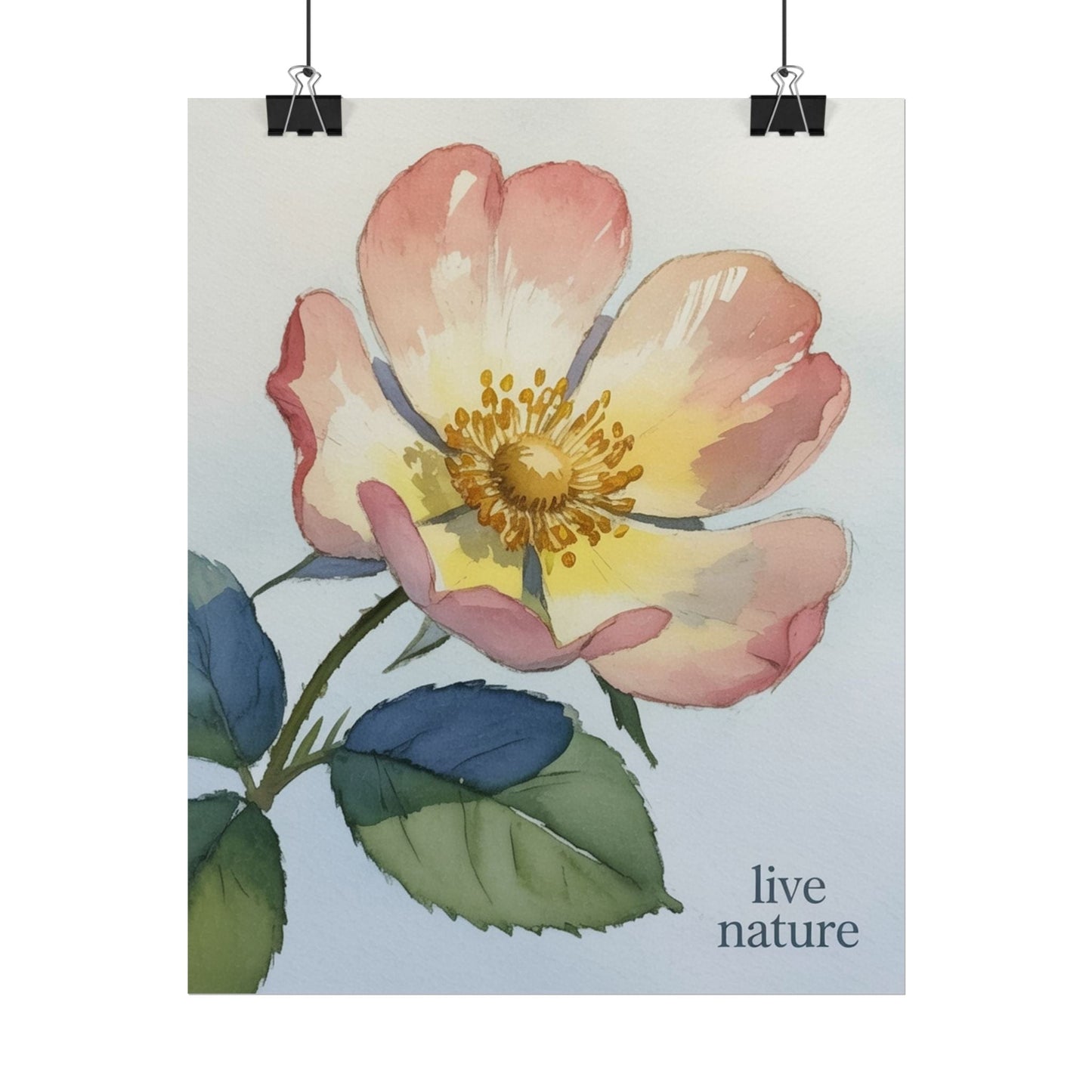 Wild Prairie Rose Watercolor Print with 'Live Nature' Text