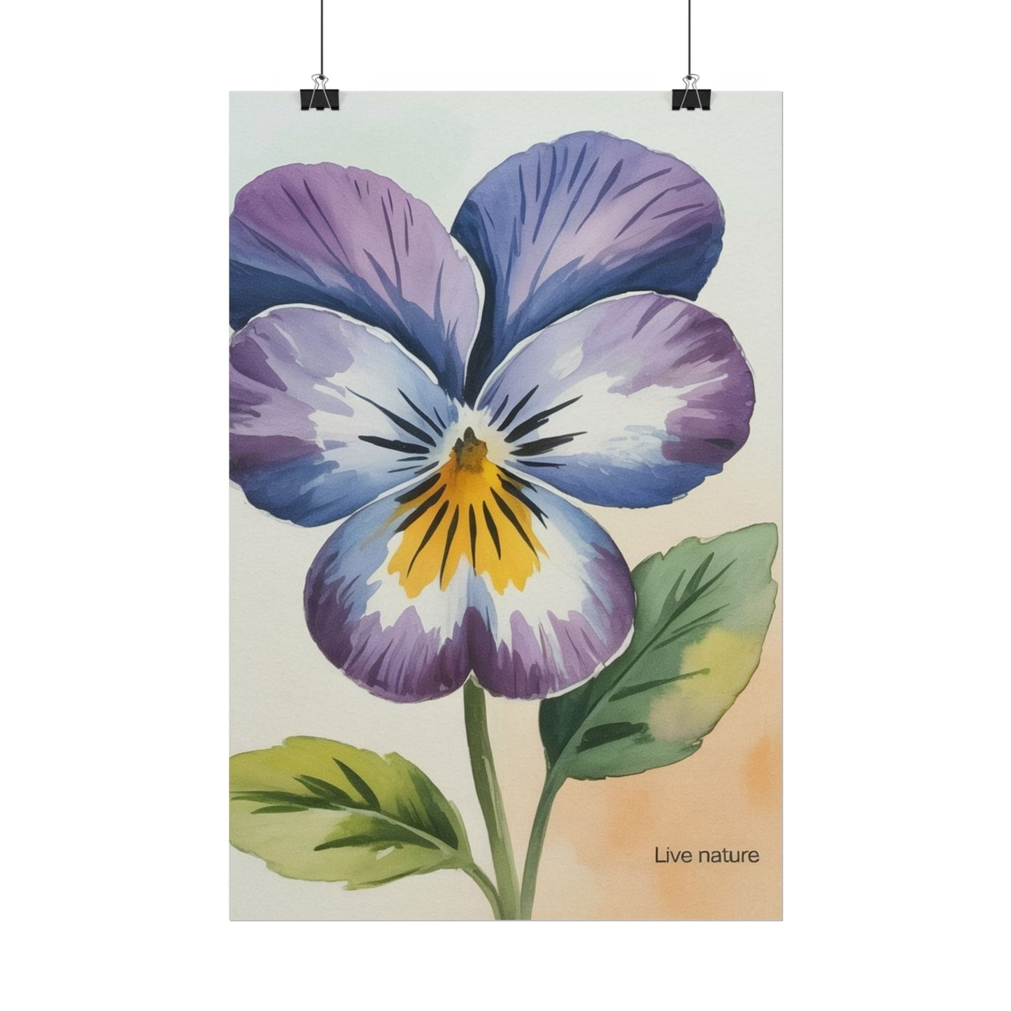 Purple Pansy Watercolor Poster Art Print - Live Nature