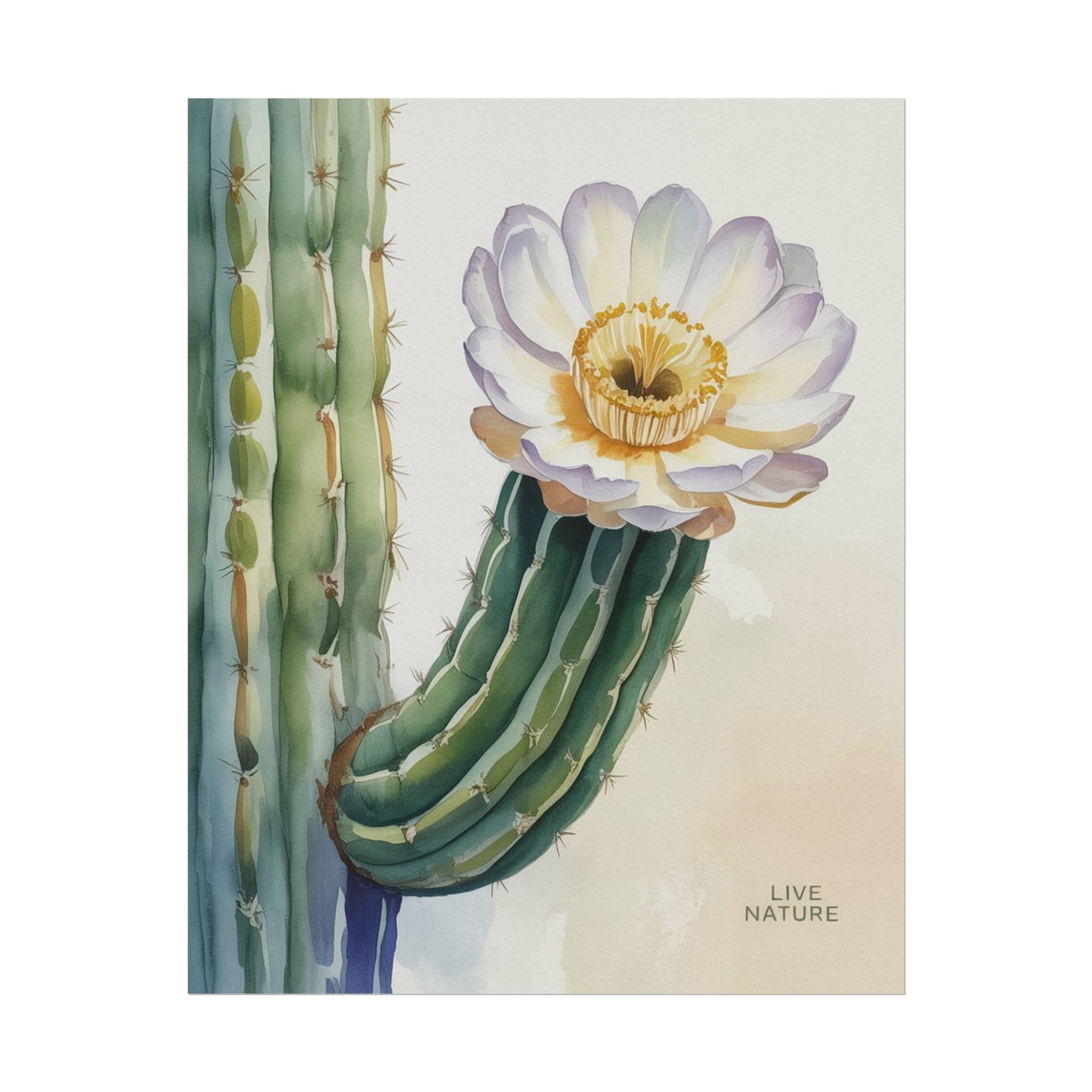16" X 20" (Vertical)