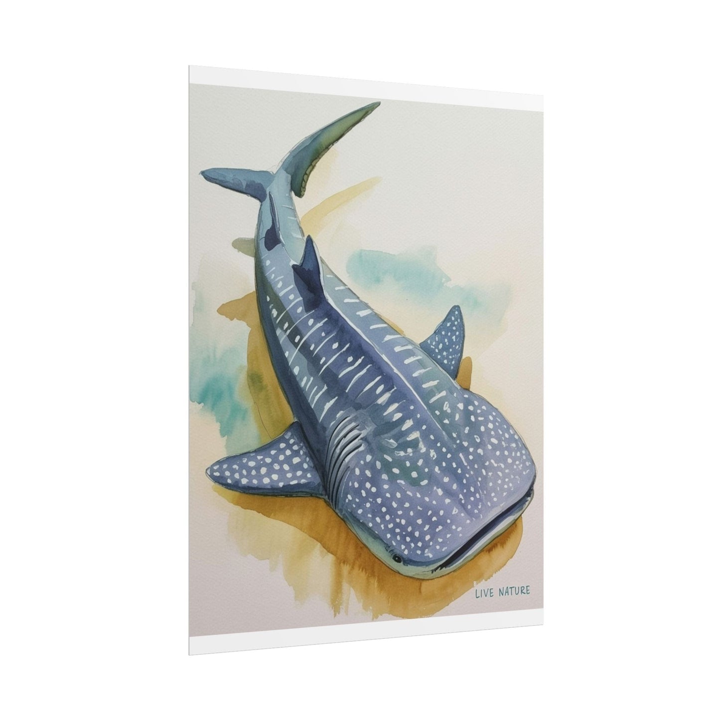 Whale Shark Watercolor Print Live Nature Design