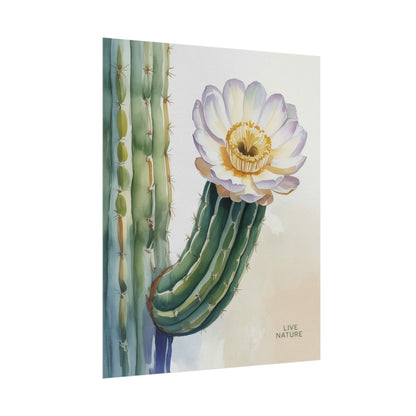 Saguaro Cactus Bloom Watercolor Art Print 'Live Nature