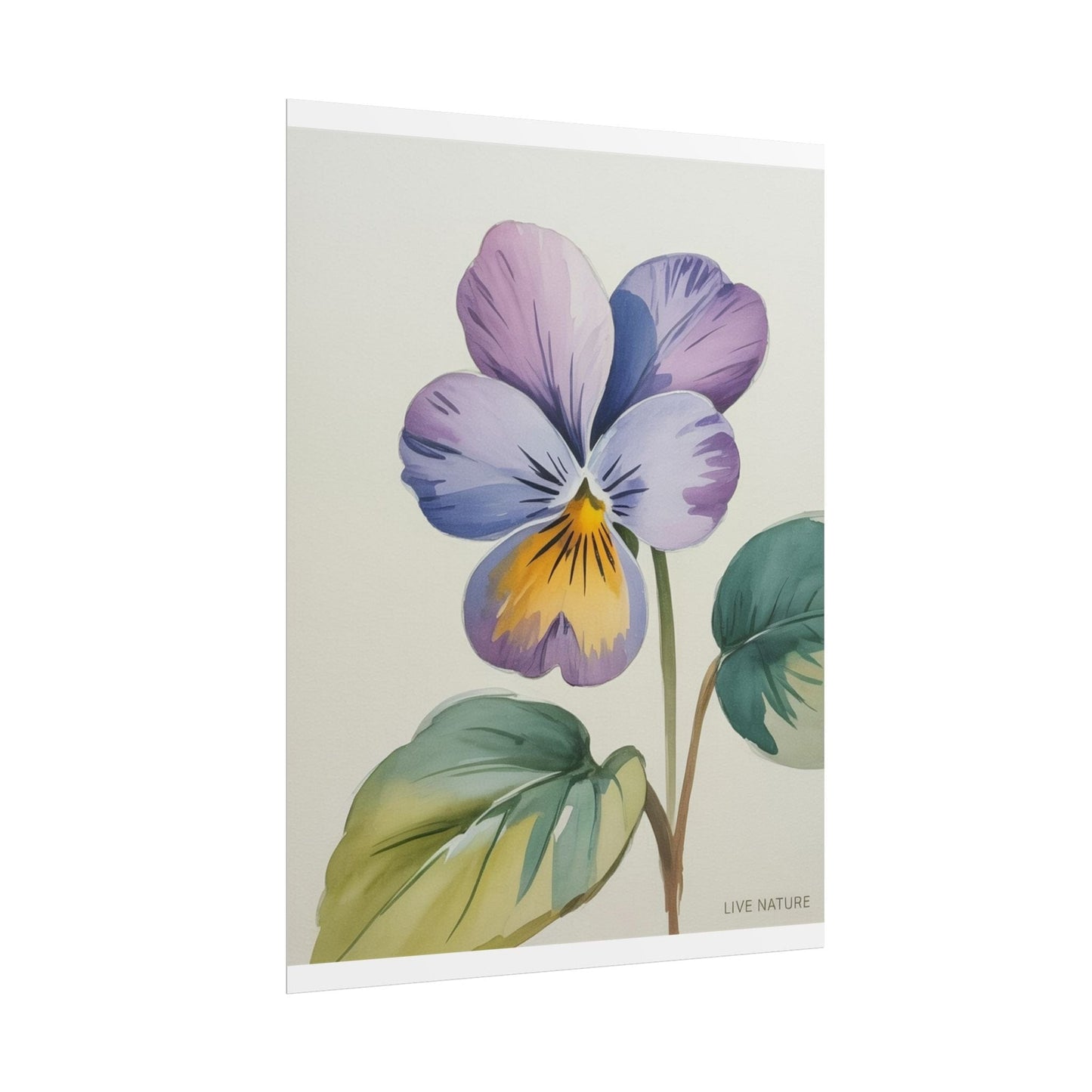 Wisconsin Wood Violet Watercolor Print – State Flower Art