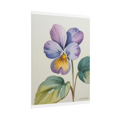 Wisconsin Wood Violet Watercolor Print – State Flower Art