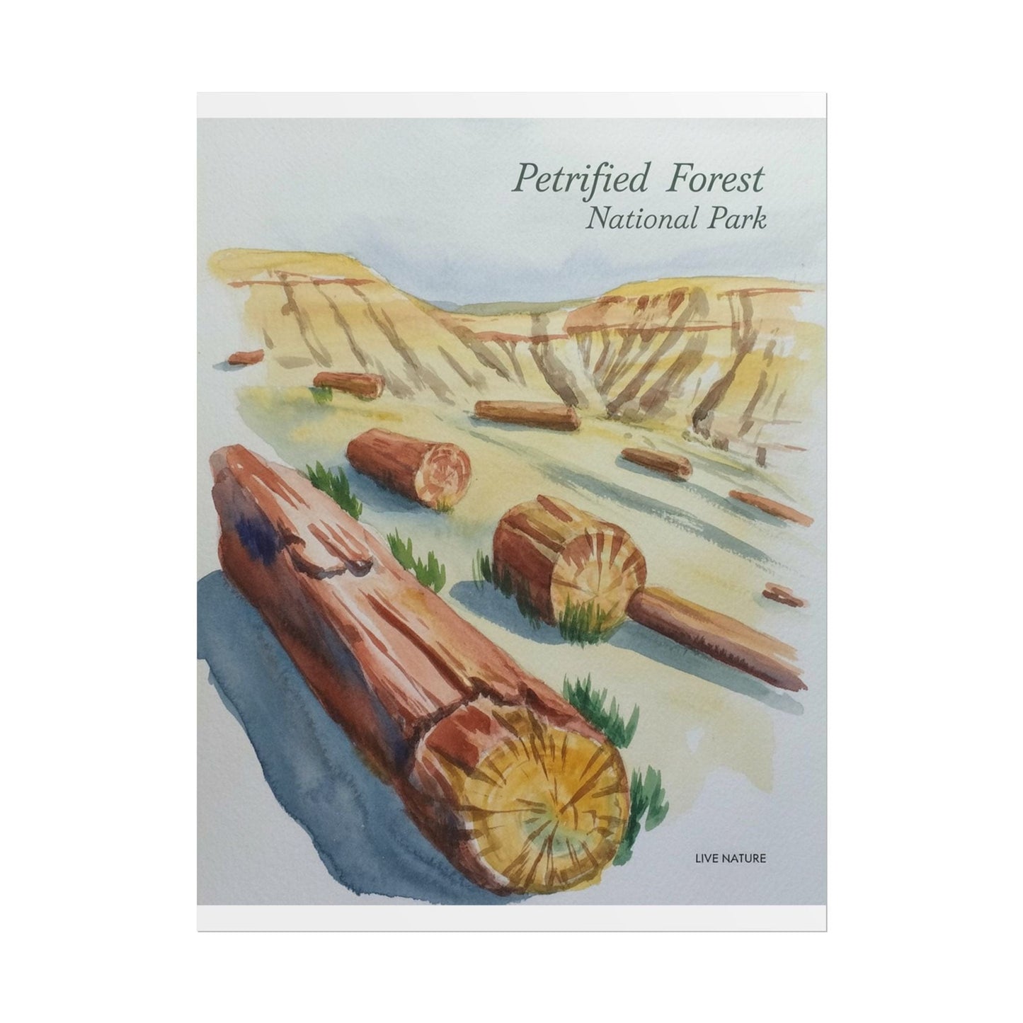 Petrified Forest National Park Watercolor Art Print