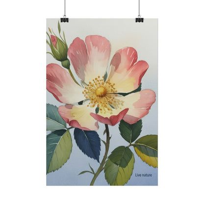 Wild Prairie Rose Watercolor Art Print