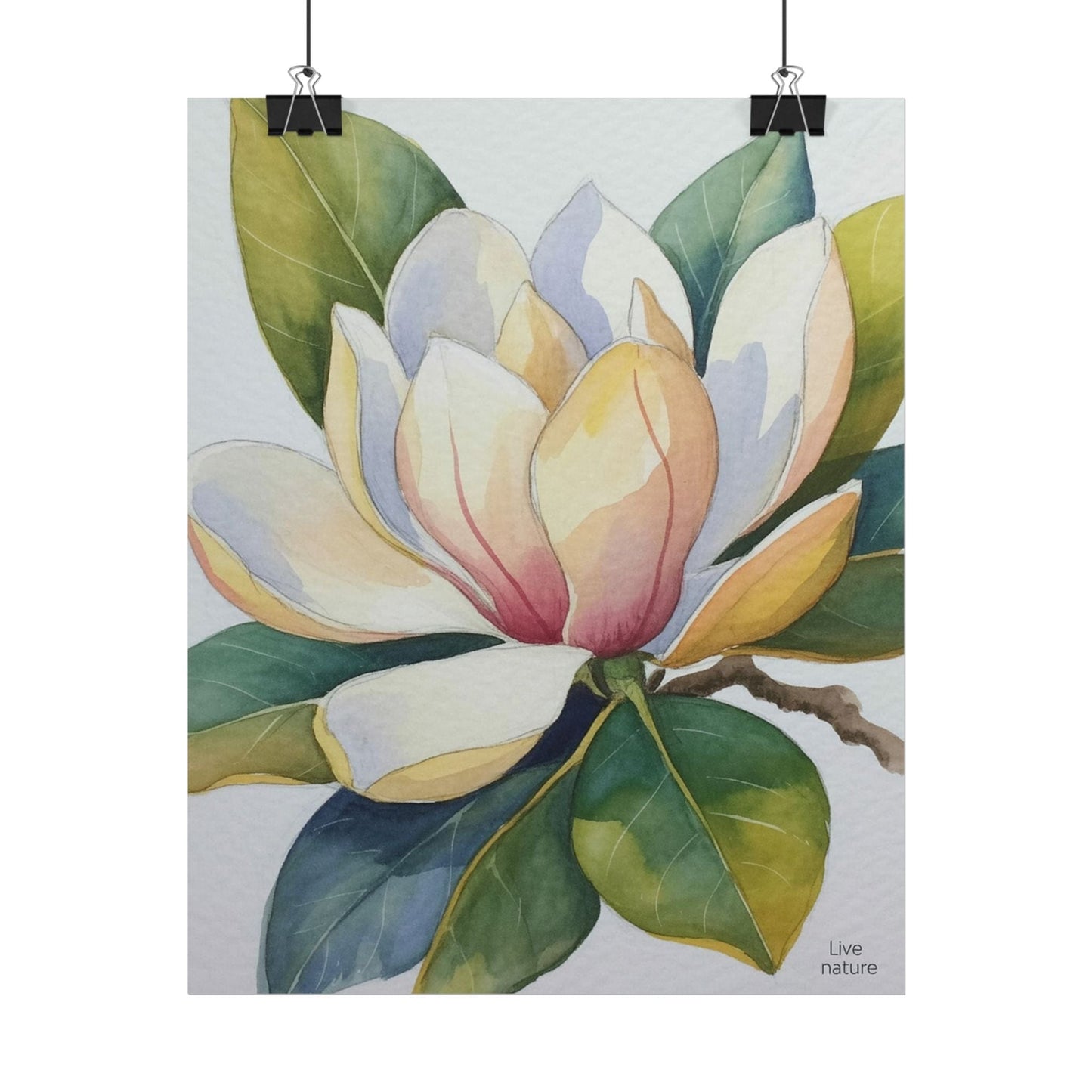 Magnolia Blossom Watercolor Print Fine Art Poster
