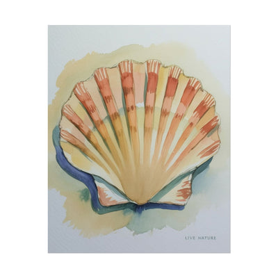 Clam Shell Watercolor Art Print 'Live Nature