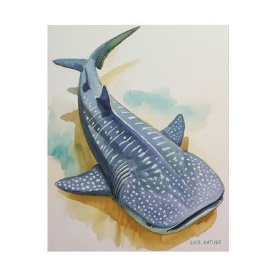 Whale Shark Watercolor Print Live Nature Design