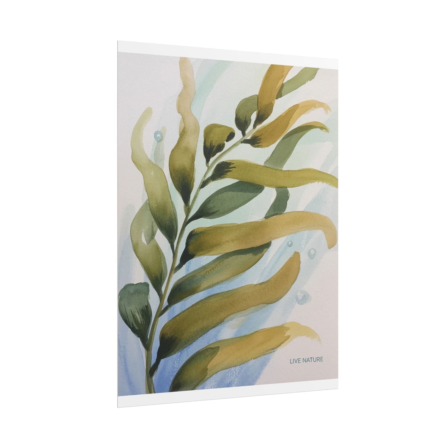 Live Nature Kelp Watercolor Print Poster