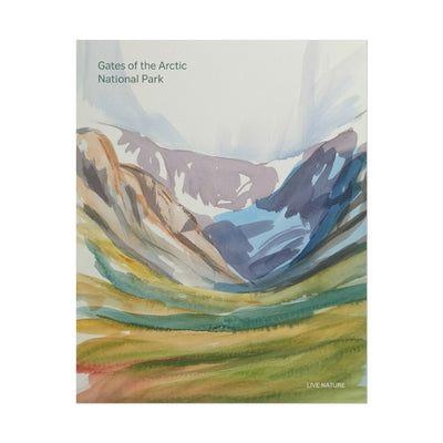 Gates of the Arctic Watercolor Poster Print