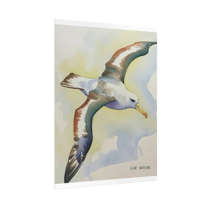 Albatross Watercolor Art Print - Live Nature Design