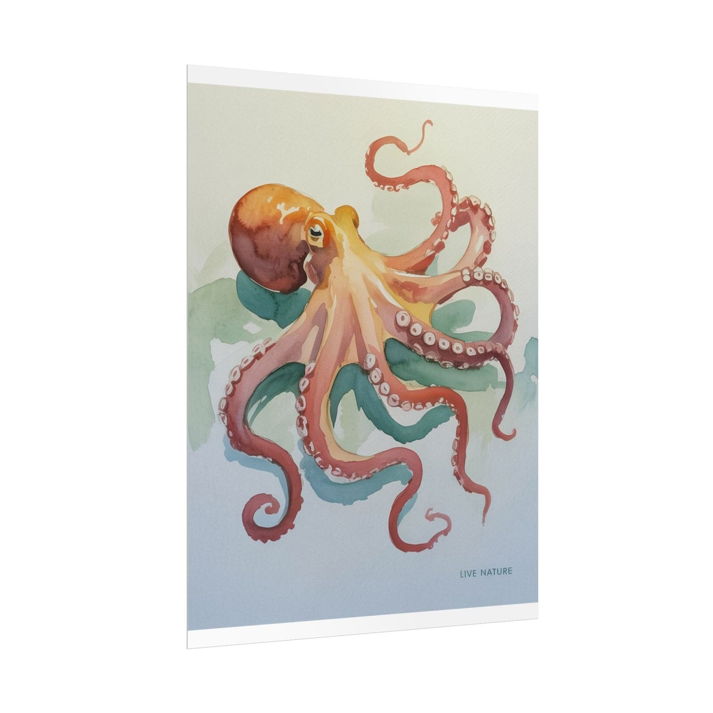 Watercolor Octopus Live Nature Art Print Poster
