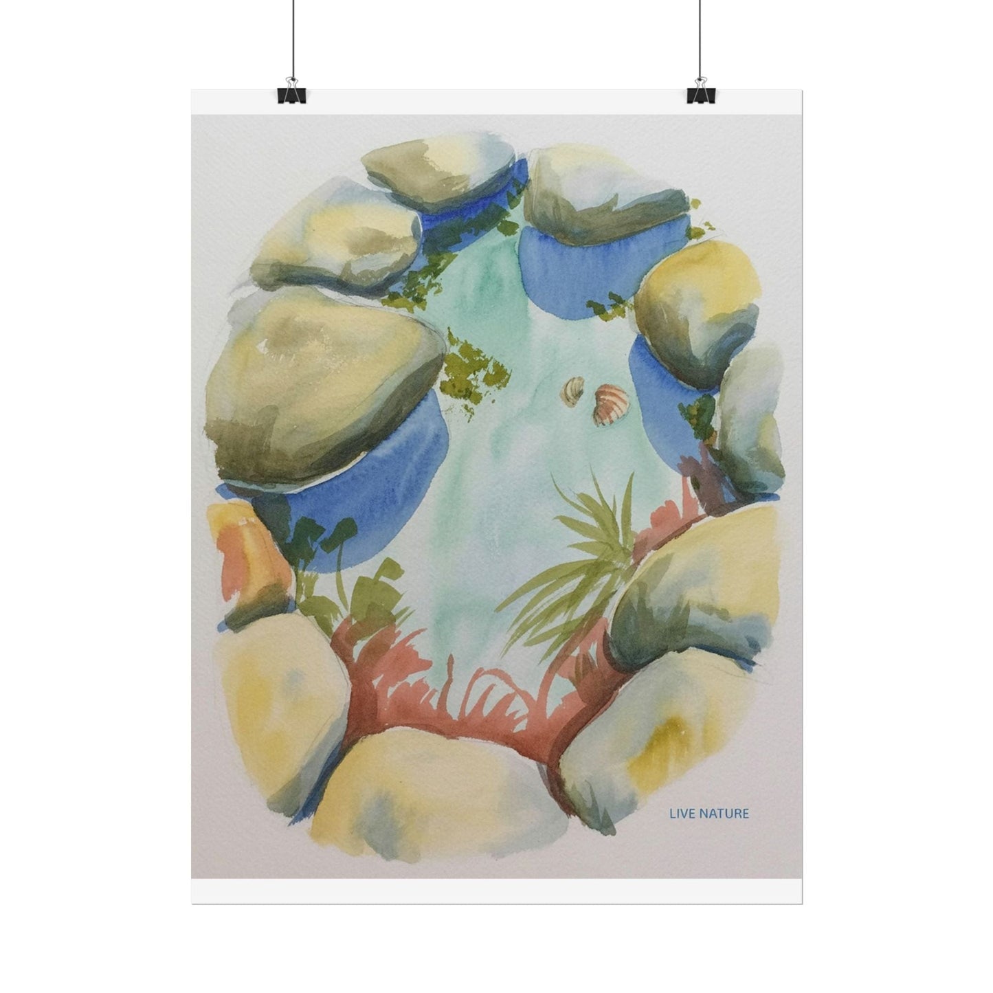 Rocky Tide Pool Watercolor Art Print 'Live Nature
