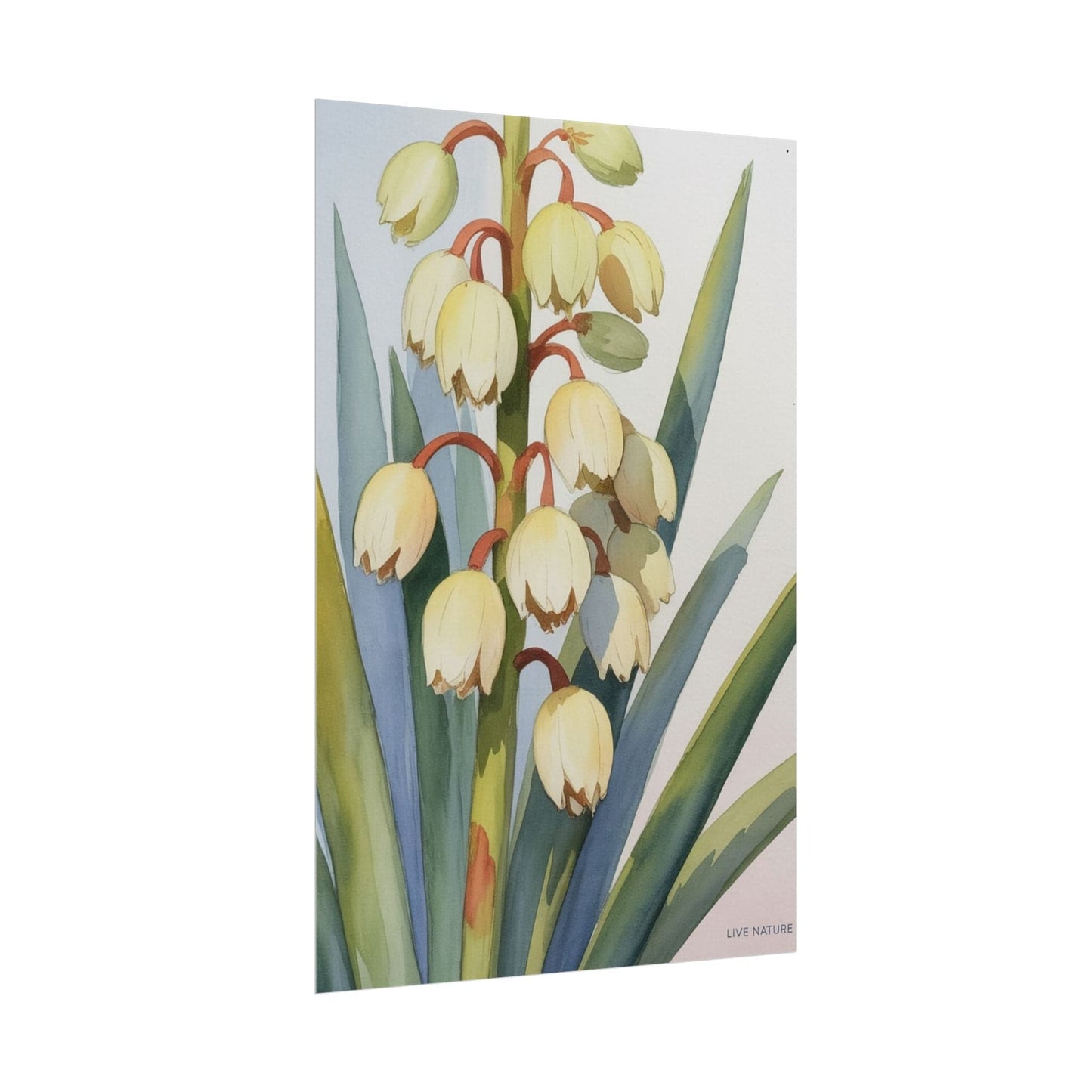 Yucca Bloom Watercolor Print Live Nature Collection