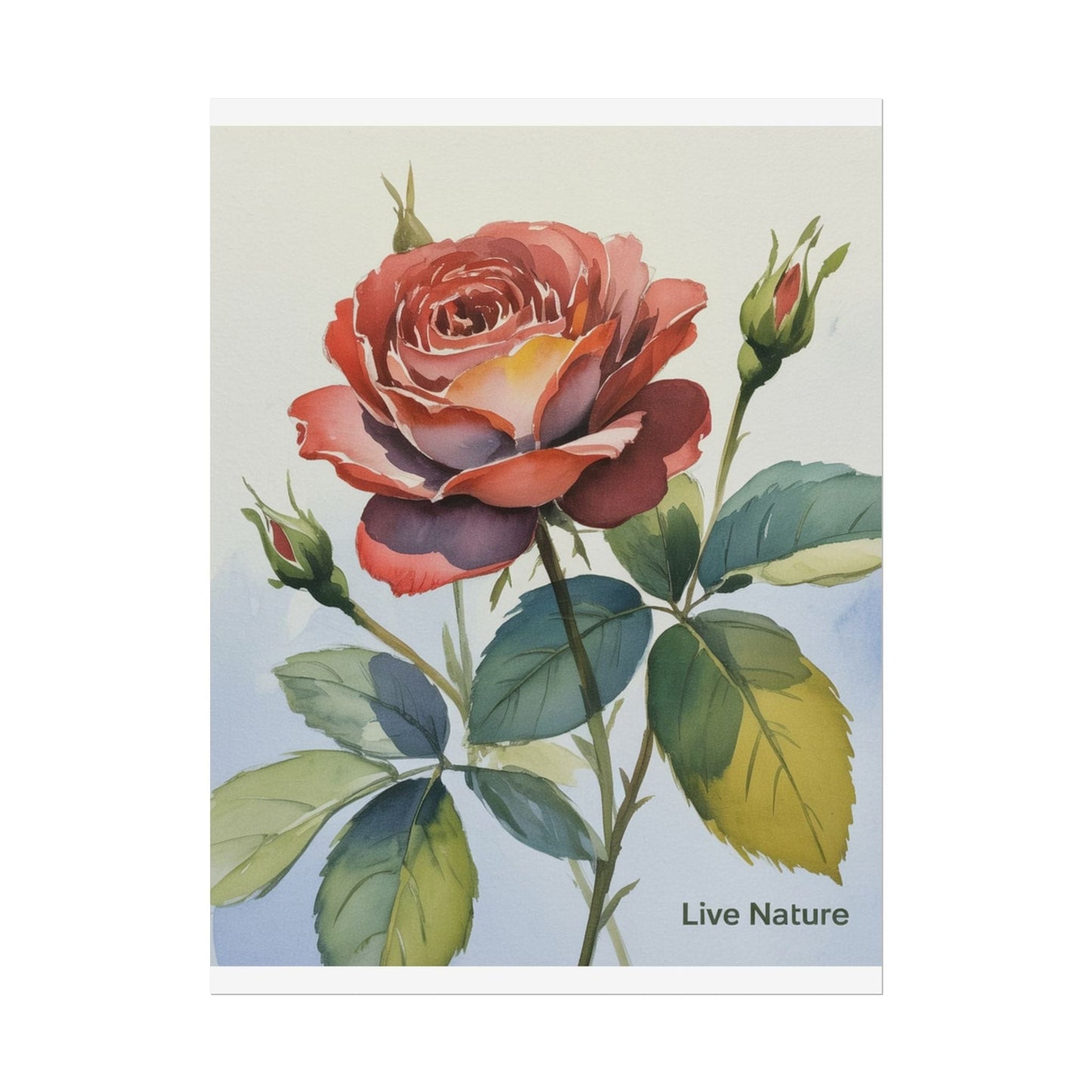 Live Nature Watercolor Rose Art Print Poster
