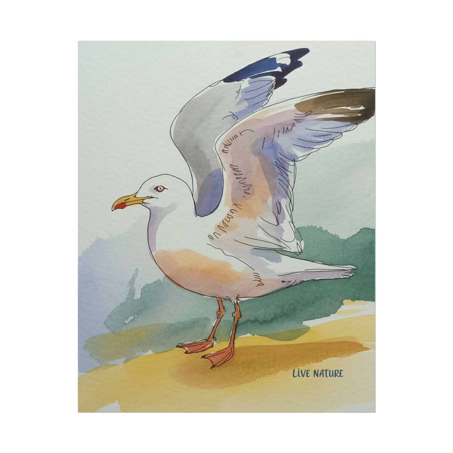 Seagull Watercolor Art Print 'Live Nature' Edition