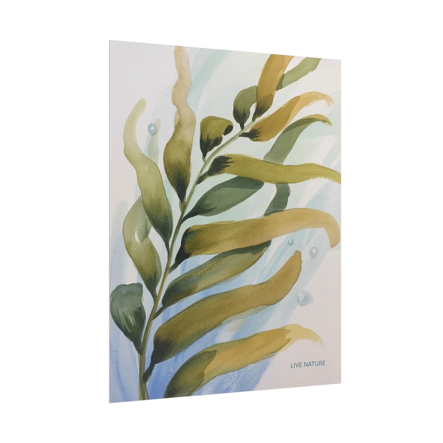 Live Nature Kelp Watercolor Print Poster