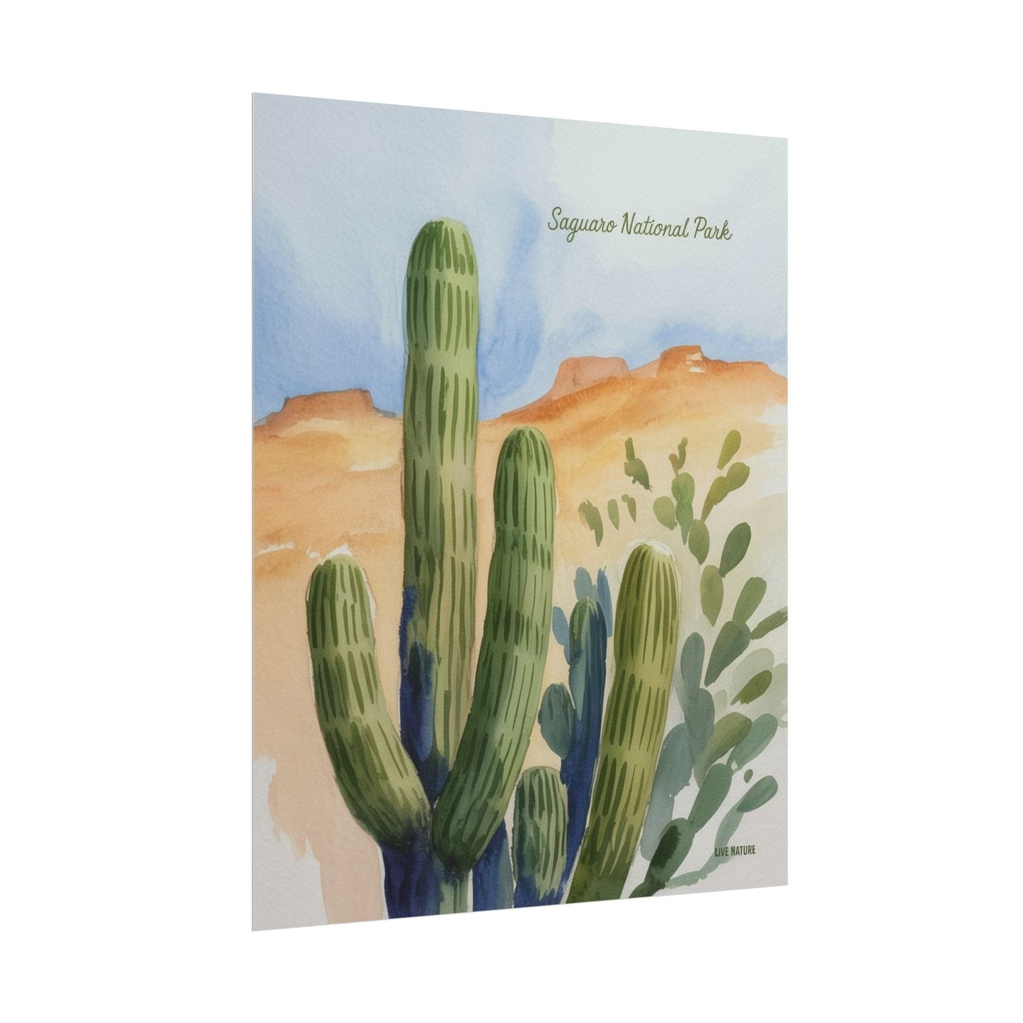 Saguaro National Park Watercolor Cactus Art Print