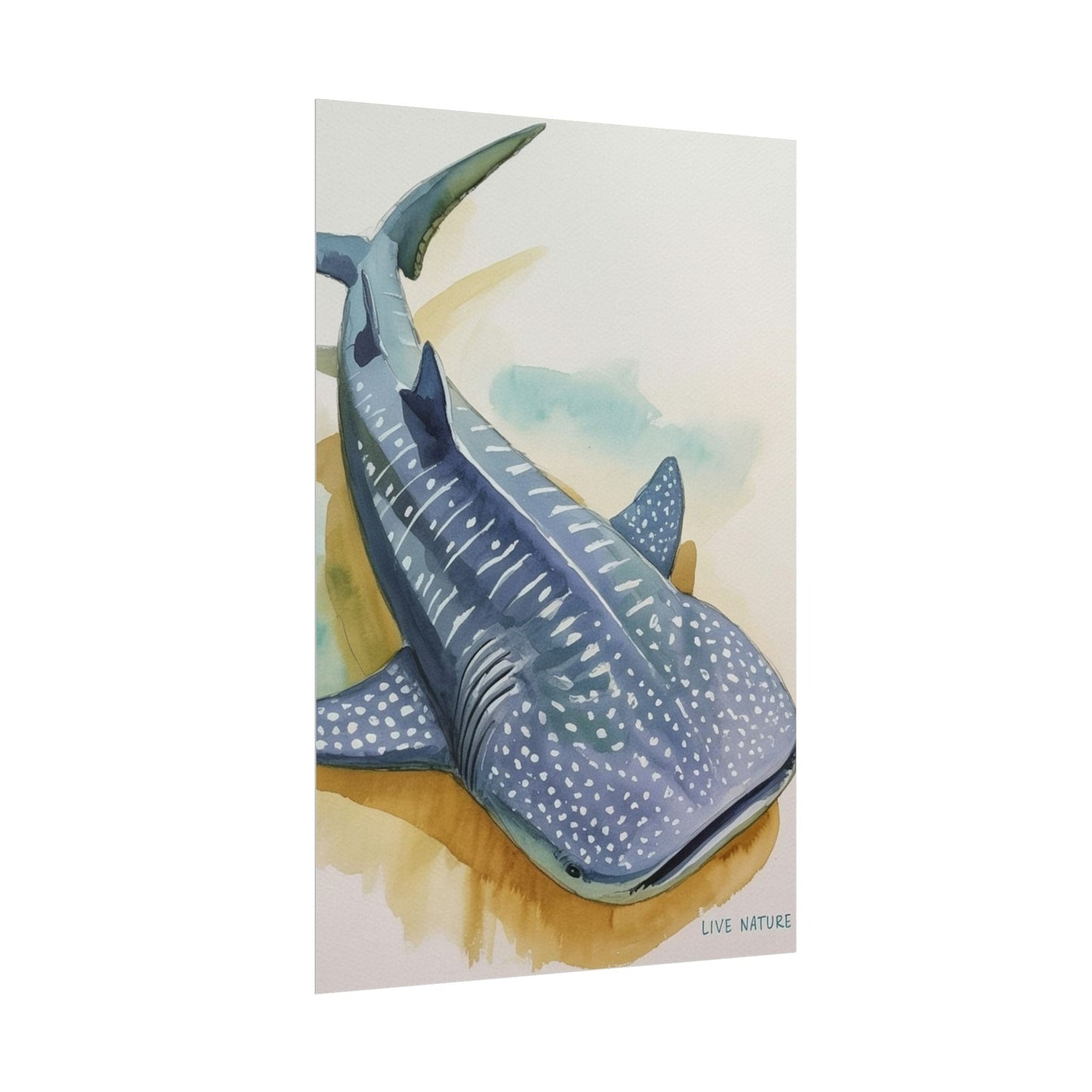 Whale Shark Watercolor Print Live Nature Design