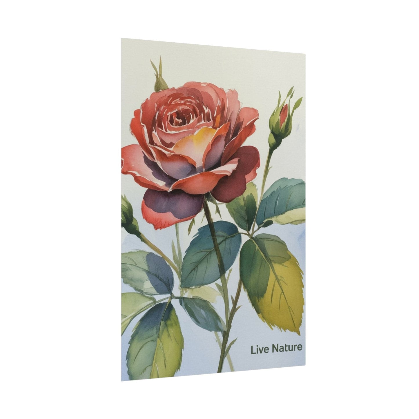 Live Nature Watercolor Rose Art Print Poster