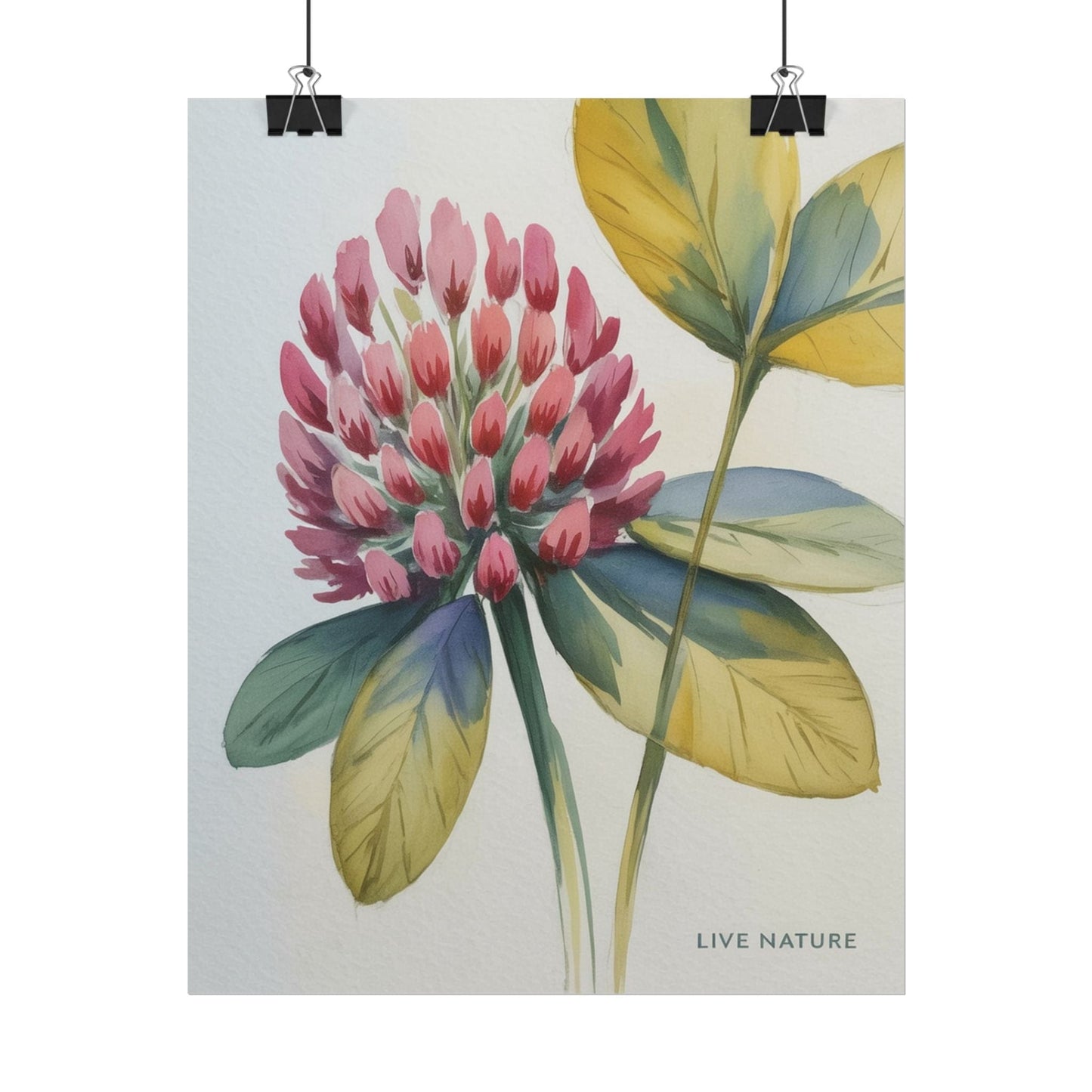 Red Clover Botanical Art Print 'Live Nature' Design