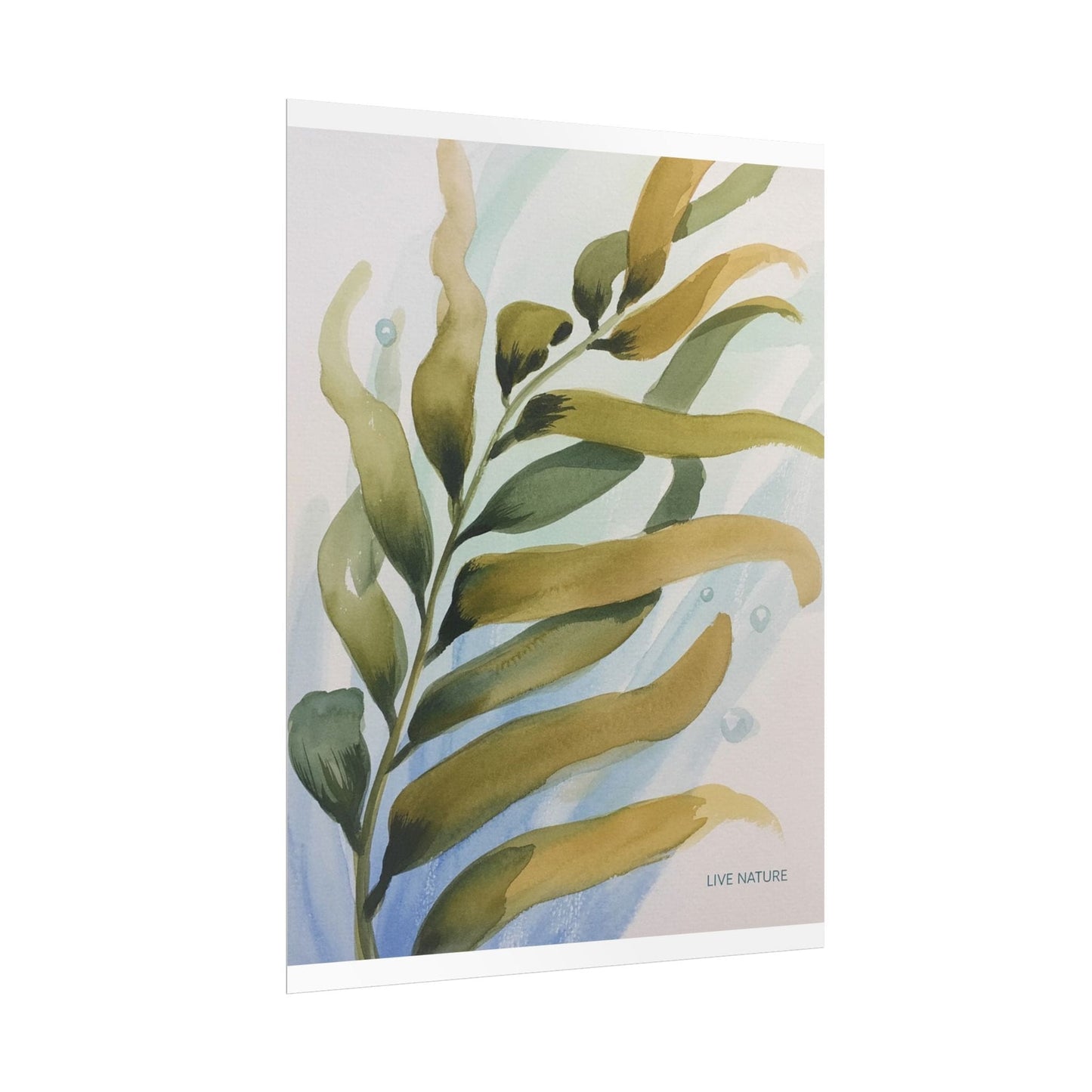 Live Nature Kelp Watercolor Print Poster