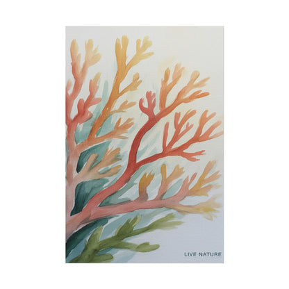 Live Nature Coral Watercolor Print on Fine Art Paper