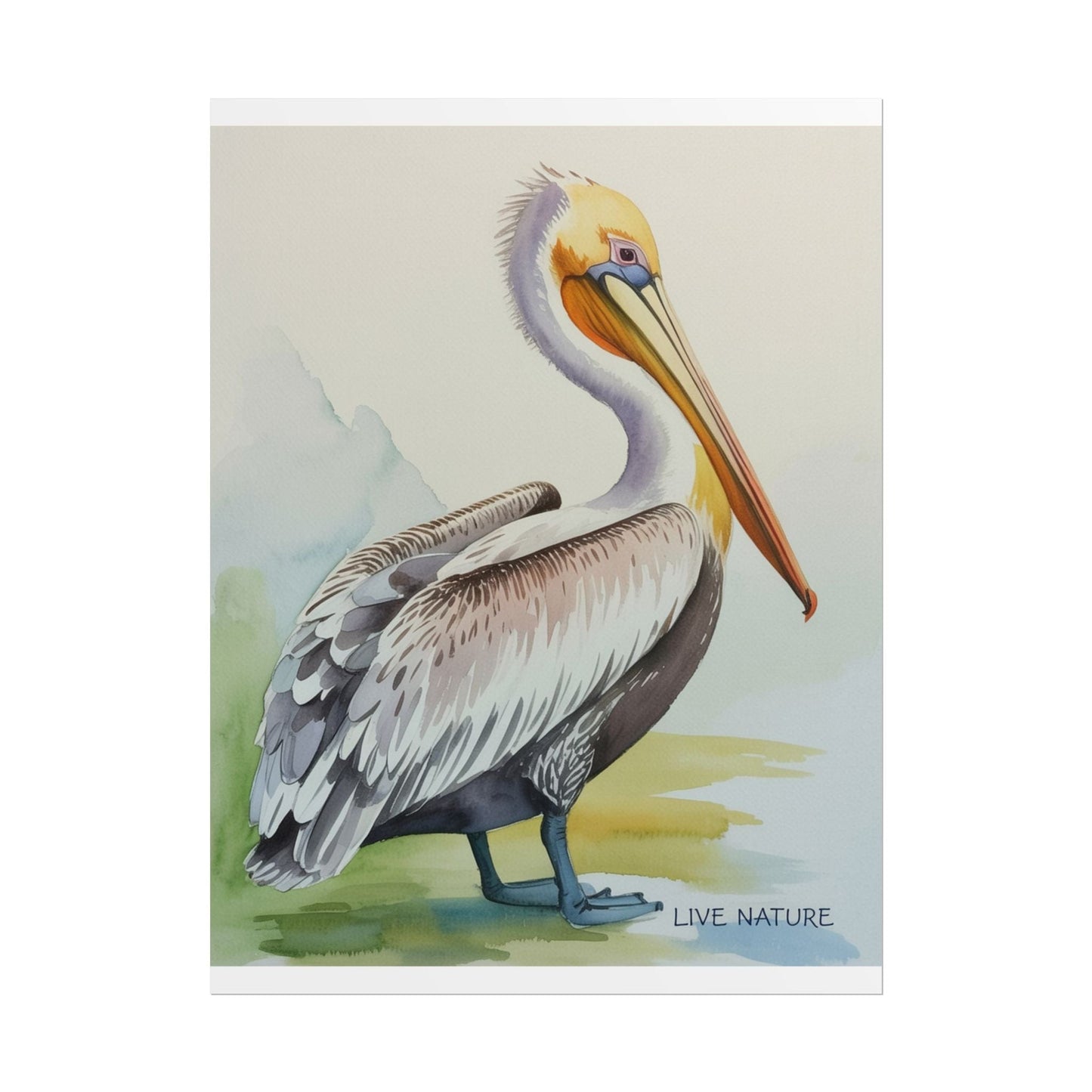 Pelican Watercolor Art Print 'Live Nature' Design
