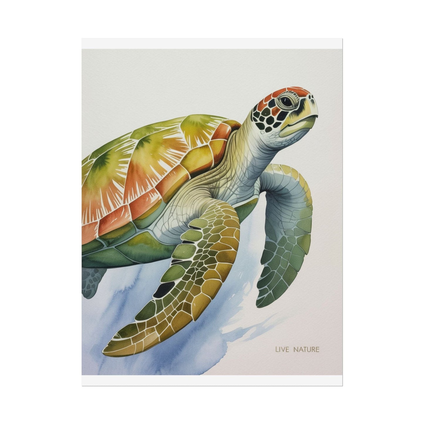 Sea Turtle Watercolor Art Print 'Live Nature' Design