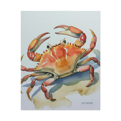 Live Nature Crab Watercolor Art Print Poster