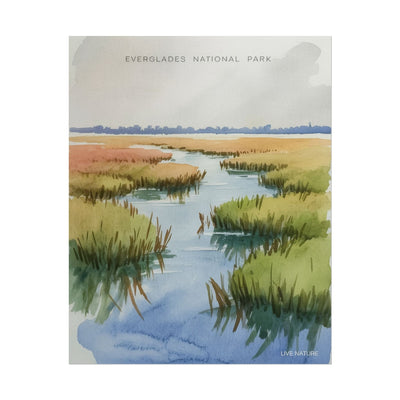 Everglades National Park Watercolor Poster Print