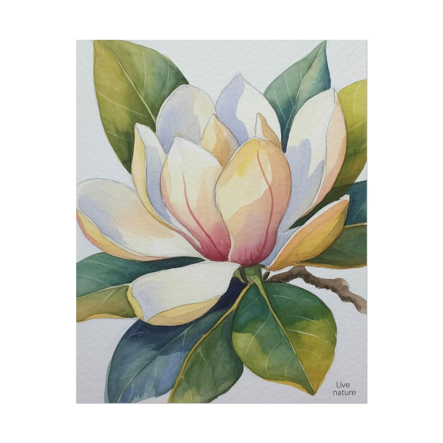 Magnolia Blossom Watercolor Print Fine Art Poster