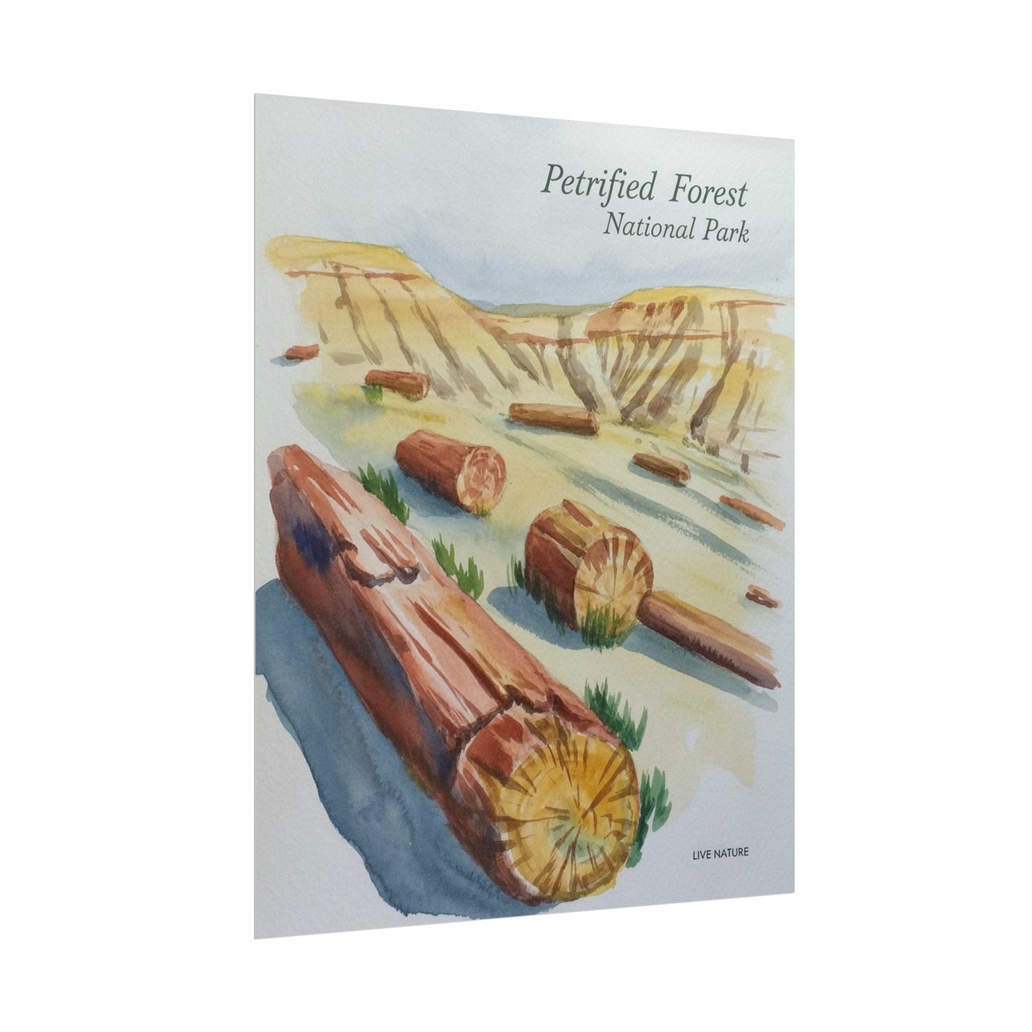 Petrified Forest National Park Watercolor Art Print