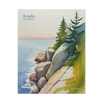 Acadia National Park Coastal Watercolor Art Print