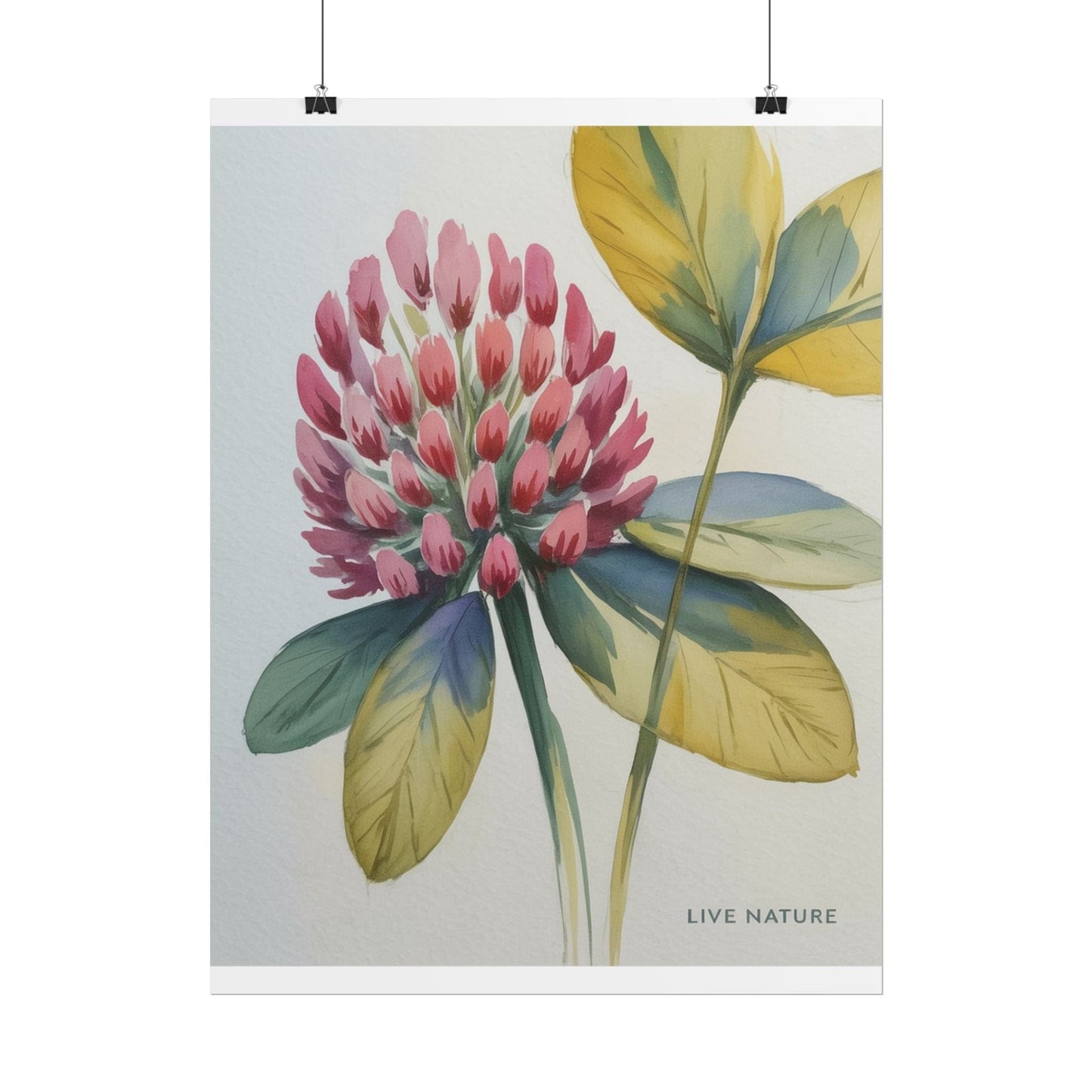 Red Clover Botanical Art Print 'Live Nature' Design