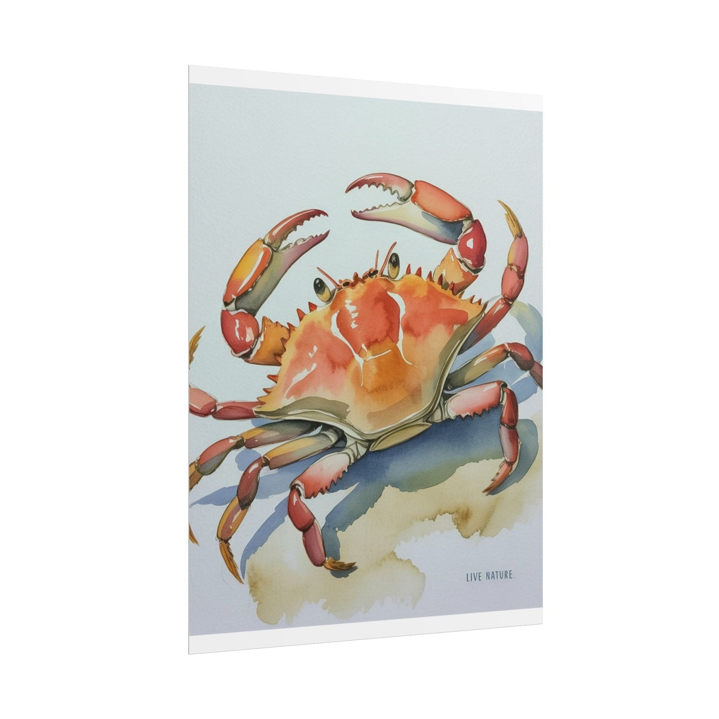 Live Nature Crab Watercolor Art Print Poster