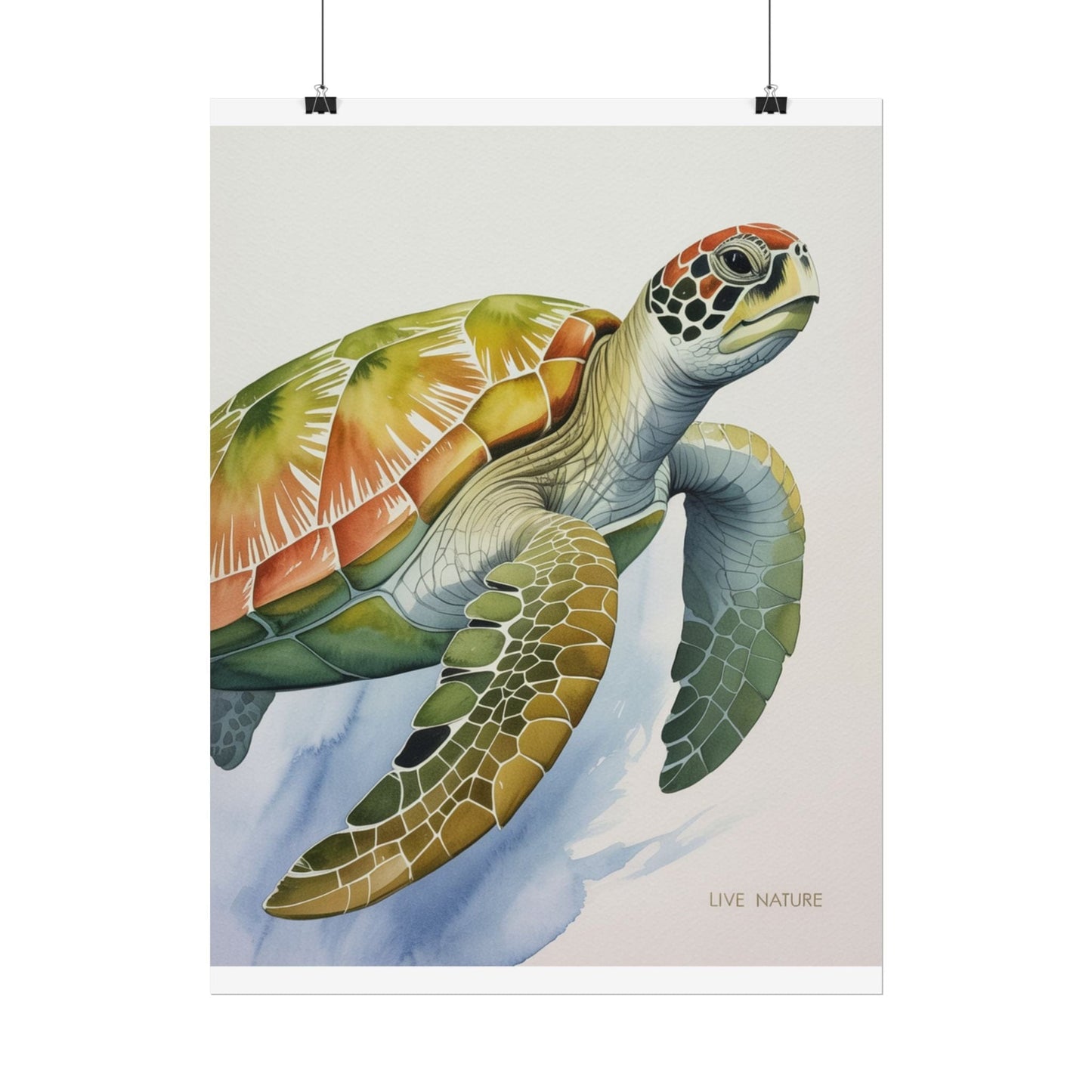 Sea Turtle Watercolor Art Print 'Live Nature' Design