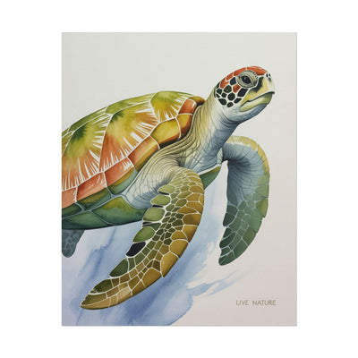 Sea Turtle Watercolor Art Print 'Live Nature' Design