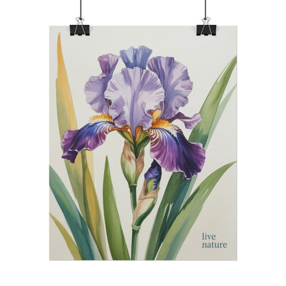 Iris Flower Watercolor Art Print with 'Live Nature