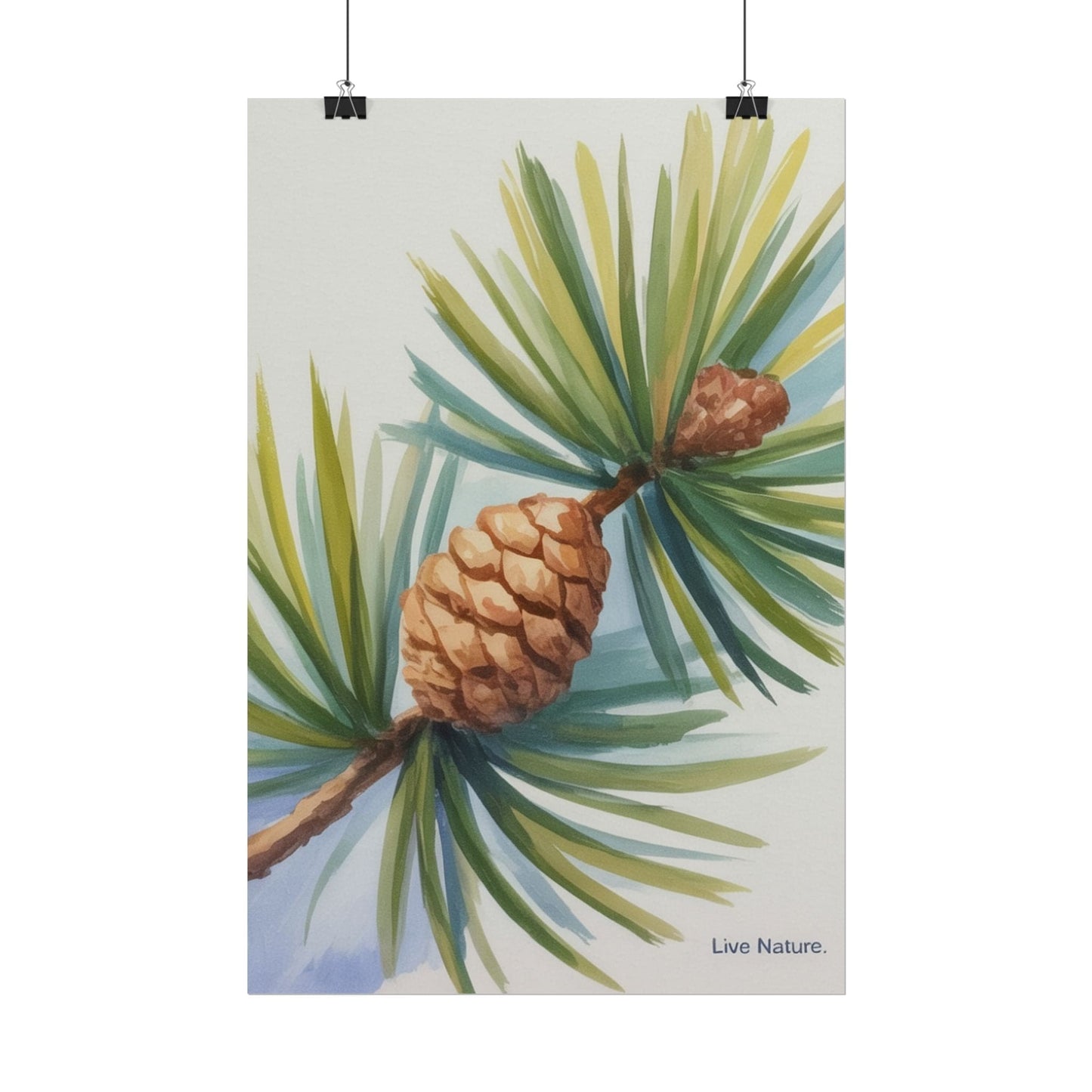 Maine Pine Cone Watercolor Print - Live Nature Art