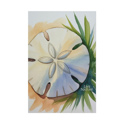 Sand Dollar Watercolor Print with 'Live Nature' Text