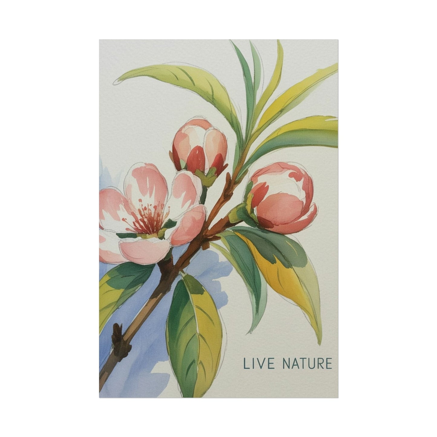 Peach Blossom Live Nature Art Print Poster