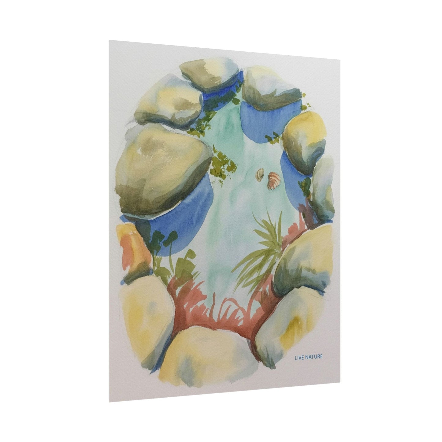 Rocky Tide Pool Watercolor Art Print 'Live Nature