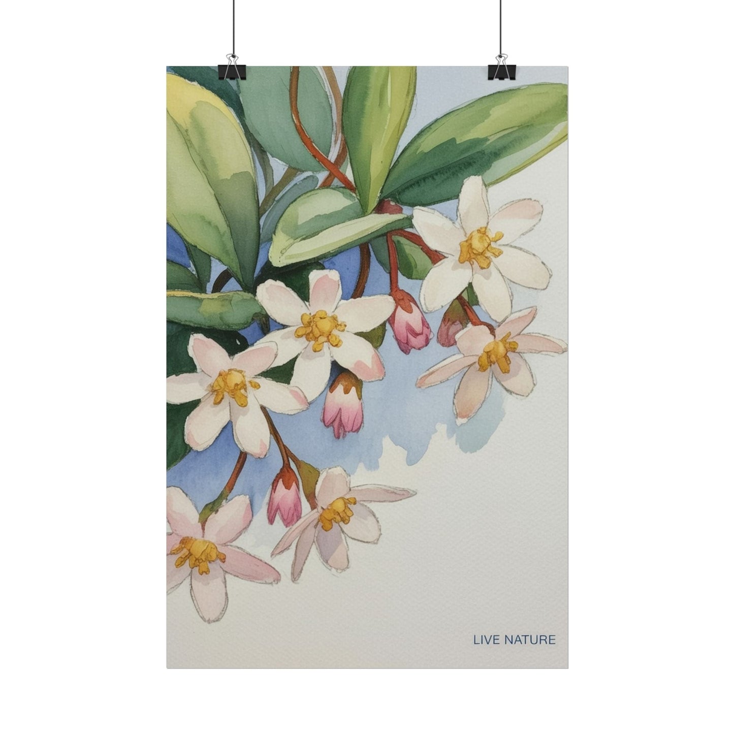 Mayflower Botanical Watercolor Art Print 'Live Nature