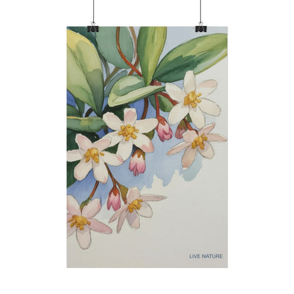 Mayflower Botanical Watercolor Art Print 'Live Nature