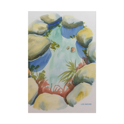 Rocky Tide Pool Watercolor Art Print 'Live Nature