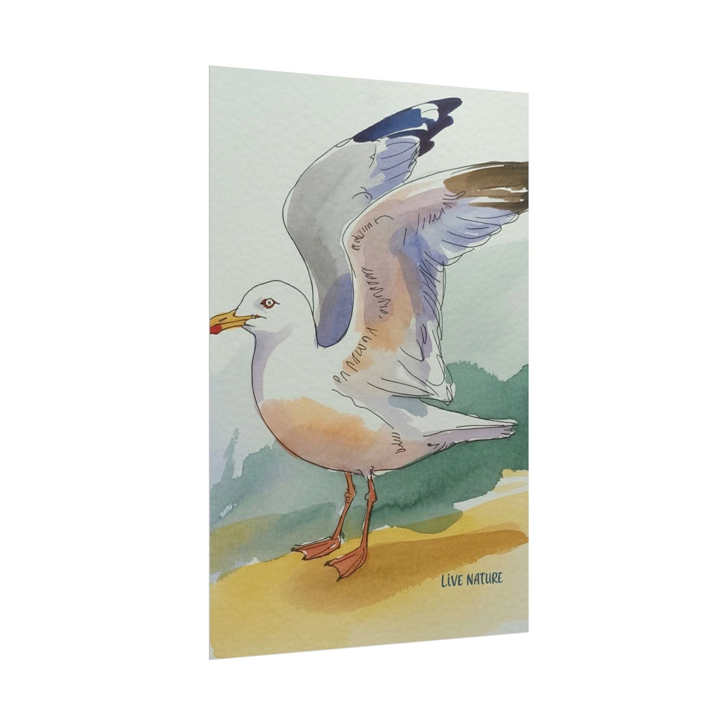 Seagull Watercolor Art Print 'Live Nature' Edition